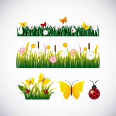 garden flowers and butterflies vector illustration design