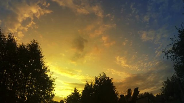 Beautiful sunset time-lapse with fluffy clouds and tree silhouettes in the foreground