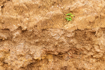 Surface erosion basement.
