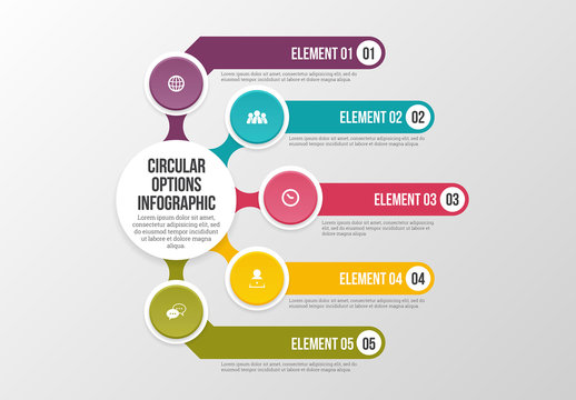 Circular Options Infographic