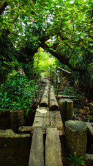 Natural Wood Bridge