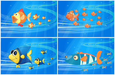 Obraz premium Scenes with fish under the water
