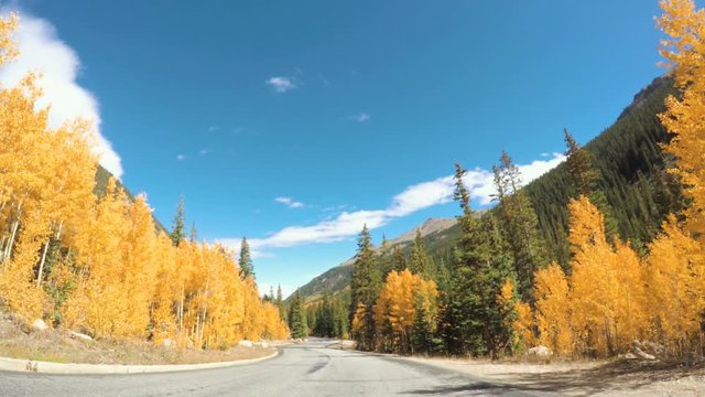 POV point of view - Driving through  alpine forest in the Autumn