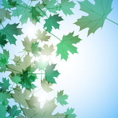 Illustration autumn motif. Maple leaves. Vector background