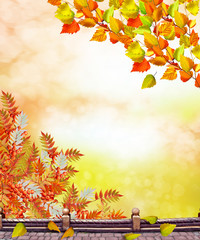 Naklejka na ściany i meble autumn landscape with bright colorful foliage. Indian summer.
