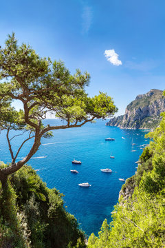 Fototapeta Capri island  in Italy