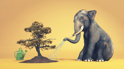 Elephant watering a tree
