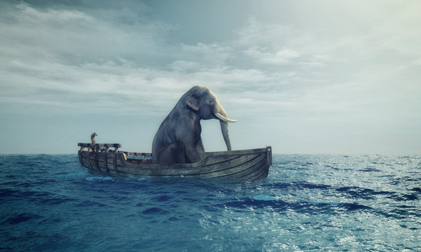 Elephant in a boat at sea.