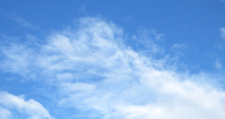 Fototapeta premium blue sky