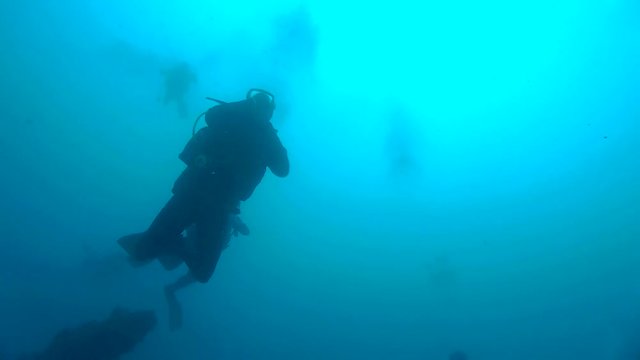 Scuba Divers Performing A Safety Stop