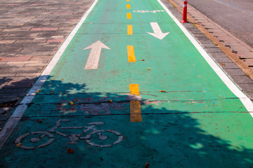 Bike lane asphalt texture ,painted green