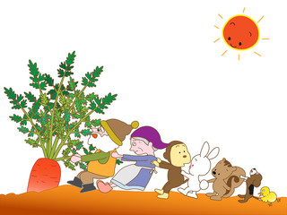 ニンジンの収穫