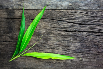 nature green leaves on the old wooden background. Empty ready fo