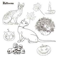 halloween set cats pumpkins leaf candles 