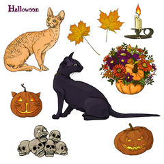 halloween set cats pumpkins leaf candles 