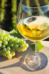 Vin blanc dans le vignoble Français