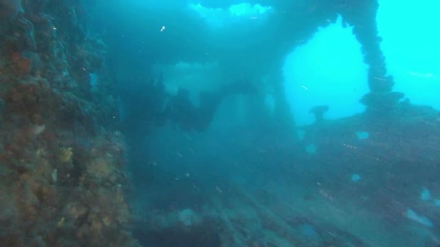 Scuba Diving Inside a Shipwreck