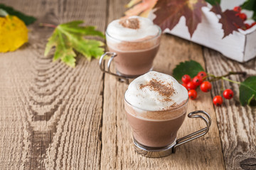 Homemade cinnamon and spice hot cocoa with whipped cream