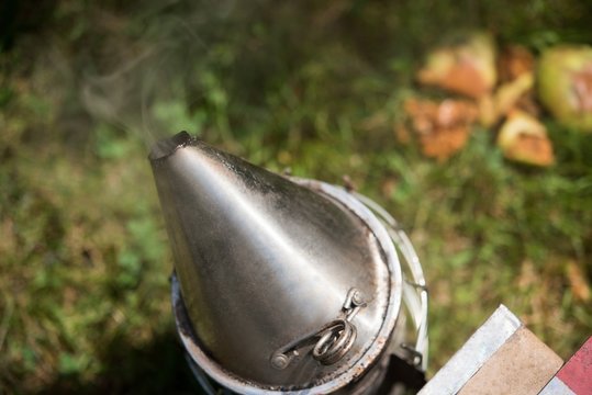 Bee smoker in apiary garden