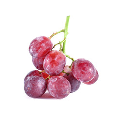 grape berry grow oraganic  background
