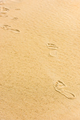 Human footprints on the sand