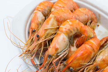 steaming shrimp on the plate