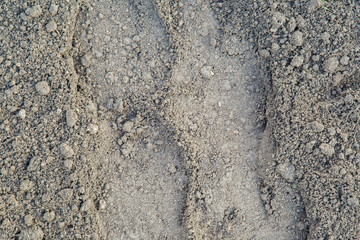 Sand texture background.