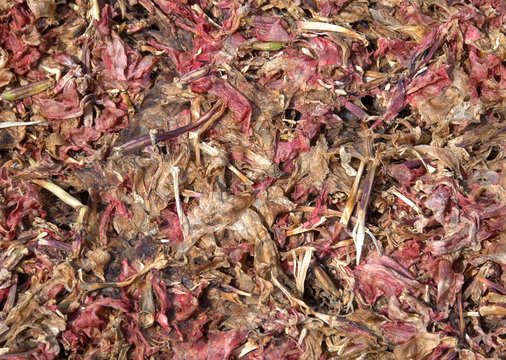 potpourri abstract background