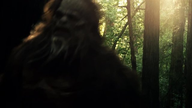 Bigfoot close up in a forest
