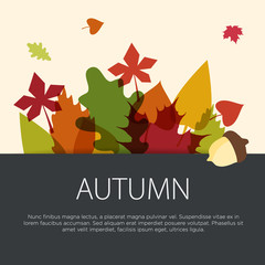 Colorful autumn leaves concept in flat design. Vector illustration.