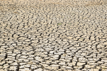 parched ground