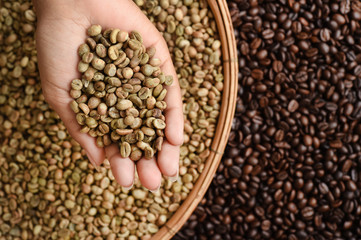 Close up of coffee beans on hand for background