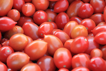 fresh tomatoes texture
