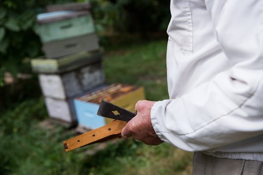 Beekeeper holding the beehive in wooden frame in apiary garden