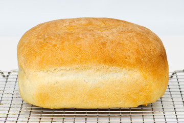 Fresh Bread