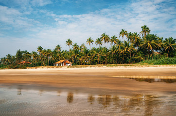 House bungalow on the sandy beach against the backdrop of palm trees in the hot tropical country