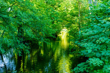 Fototapeta na wymiar Calm river in woodland. Tree canopies shade the water and creates a small tunnel of vegetation. Sunlight shine through at the end of the green tunnel. The river Morrumsan in Sweden.