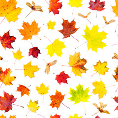 Autumn background. Fallen leaves seamless pattern