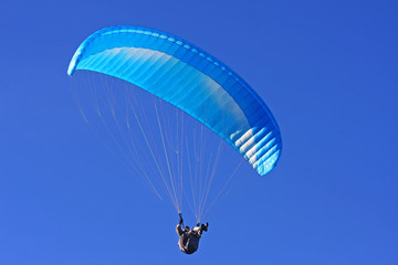 Paraglider