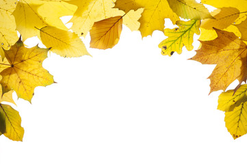 Herbst und Herbstlaub mit Blätter als Rahmen
