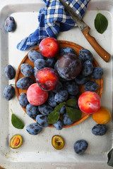 Ripe plums mix and knife top view