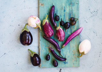 Variety eggplants of black, white, violet color over green table. Top view.