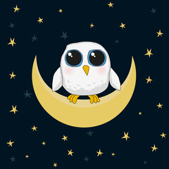 Obraz premium white cute owl are sitting on the moon at night