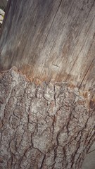 Rinde - vintage Holztextur 
