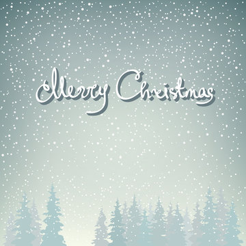 Snowfall in the Forest and Text Merry Christmas, Snow Falls on the Spruces, Fir Trees in Winter in Snowfall, Winter Background, Christmas Winter Landscape in Gray Shades, Vector Illustration