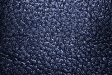 Deep blue leather texture or leather background for design with copy space for text or image.