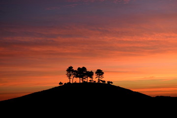 Fototapeta na wymiar Sunrise over Colmer's Hill in Dorset AONB (Area of Outstanding Natural Beauty)