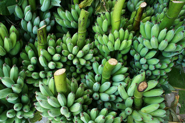 bunch of bananas, Vietnam farmer market