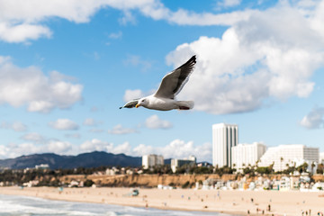 In Flight