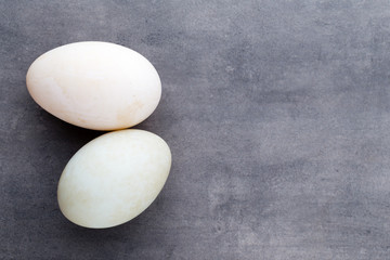  Duck eggs on a cage gray background.